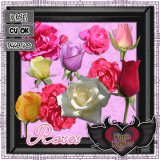 CU Roses