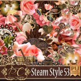 Steam Style 53