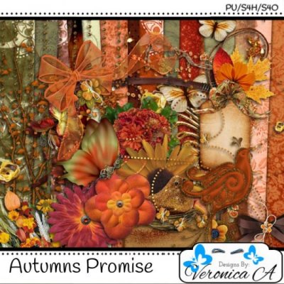 Autumns Promise Taggers