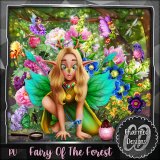 Fairy Of The Forest