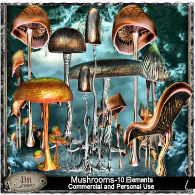 Mushrooms Grabbag