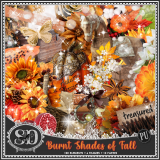 Burnt Shades Of Fall Kit