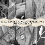 CU Leafy Things Overlays TS Pk 1