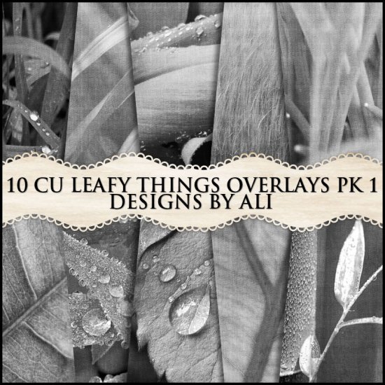 CU Leafy Things Overlays TS Pk 1 - Click Image to Close