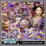 Chinese Expression Kit