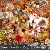 Shades of Autumn TS