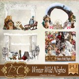 Winter Wild Nights CF2