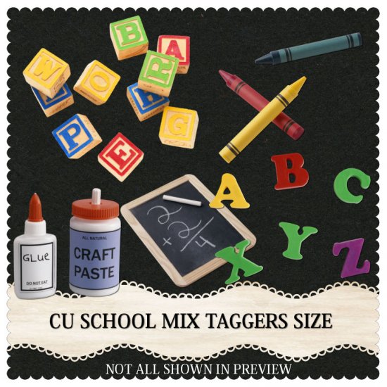 CU School Mix TS - Click Image to Close