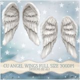 CU Angel Wings FS