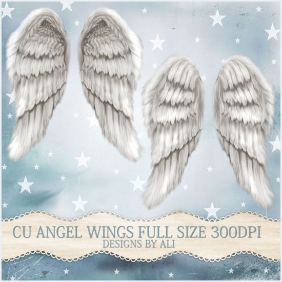 CU Angel Wings FS - Click Image to Close