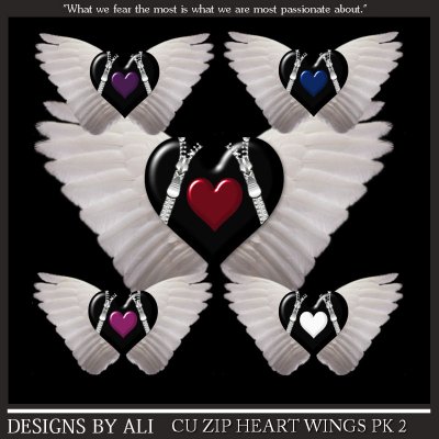 CU Zip Winged Hearts Pk 2 TS