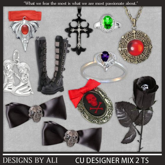 CU Designer Mix 2 TS - Click Image to Close
