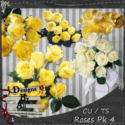 CU Roses Pk 3 TS