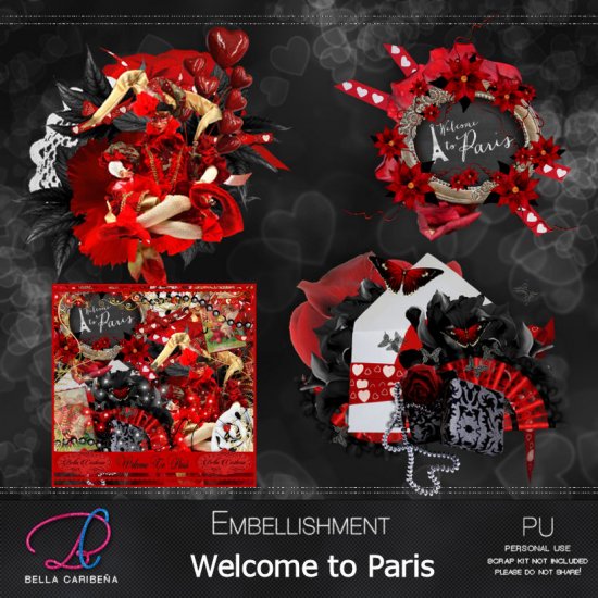 Welcome To Paris Emb - Click Image to Close