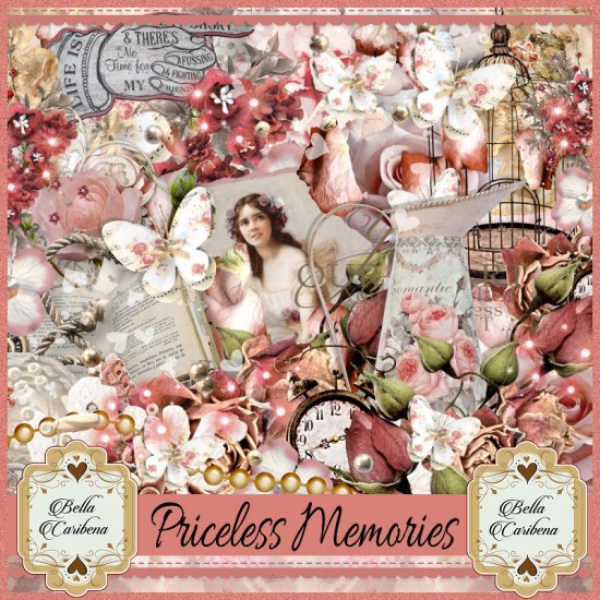 Priceless Memories - Click Image to Close