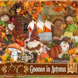 Gnomos in Autumn