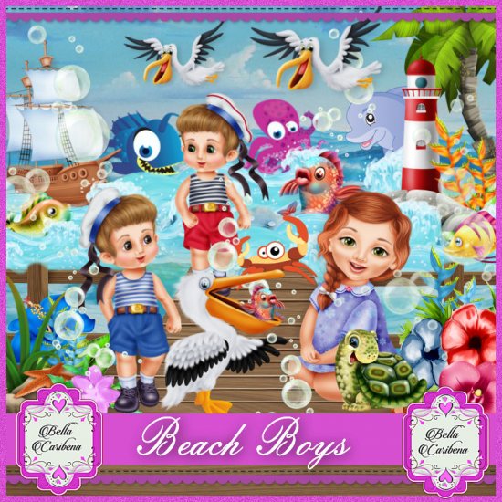 Beach Boys - Click Image to Close