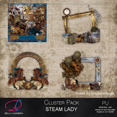 Steam Lady CF 5