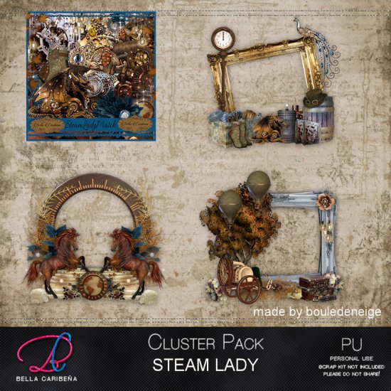 Steam Lady CF 5 - Click Image to Close