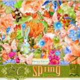 Spring Flower Kit