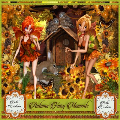 Autumn Fairy Moments