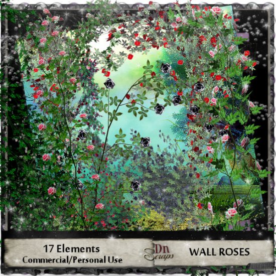 Wall Roses - Click Image to Close