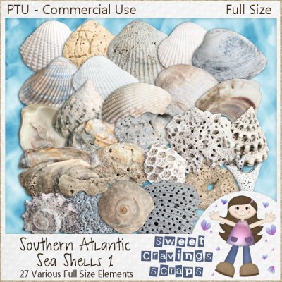 CU - Southern Atlantic Sea Shells 1 (FULL SIZE)