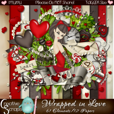 Wrapped In Love TS