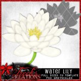 Water Lily - CU Template