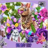 Bunny Hop Kit
