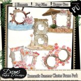 ROMANTIC SUMMER CLUSTER FRAME PACK TAGGER SIZE