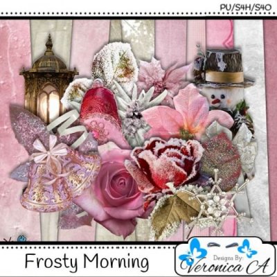Frosty Morning TS
