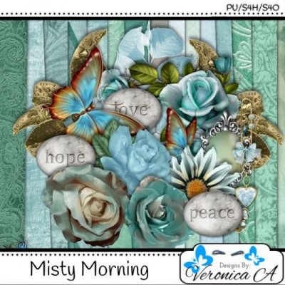 Misty Morning TS