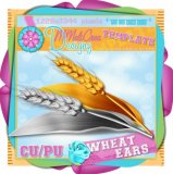 Wheat Ears Template/ CU