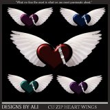 CU Zip Winged Hearts Pk 1 TS