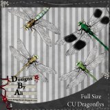 CU Dragonflies FS