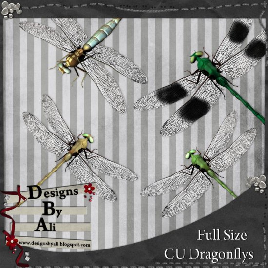 CU Dragonflies FS - Click Image to Close