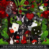 The Other Side Of Wonderland TS