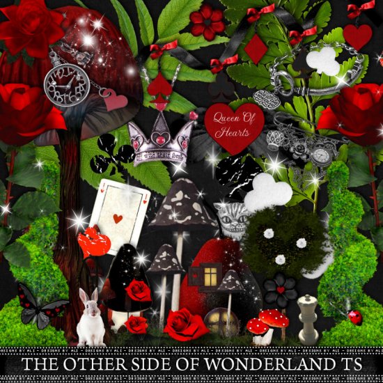 The Other Side Of Wonderland TS - Click Image to Close