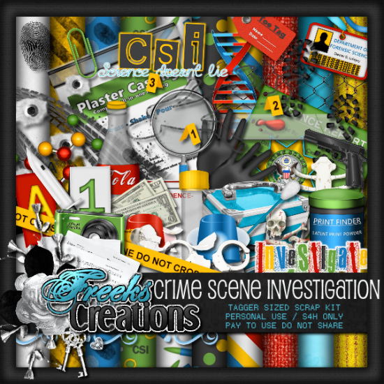 CSI - Click Image to Close