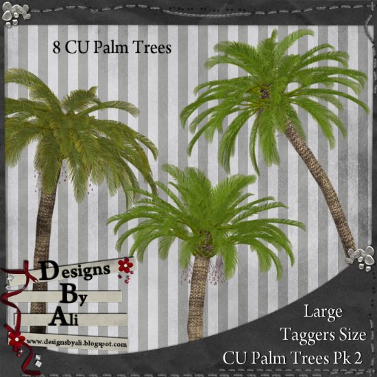 CU Palm Trees Pk 2 TS - Click Image to Close