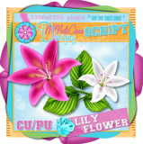 Lily Flower Script/ CU