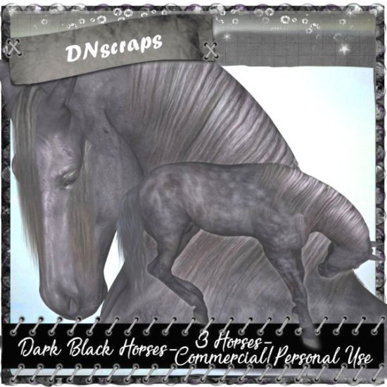 Black horses - Click Image to Close