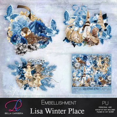 Lisa Winter Place Embellishments