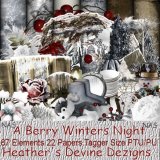 A Berry Winters Night