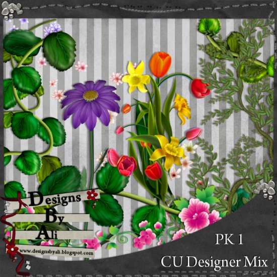 CU Designer Mix 1 TS - Click Image to Close