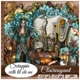 Clairvoyant Taggers Kit
