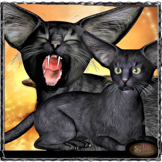 Goth black cat - Click Image to Close