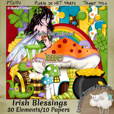 Irish Blessing TS