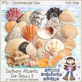 CU - Southern Atlantic Sea Shells 2 (FULL SIZE)